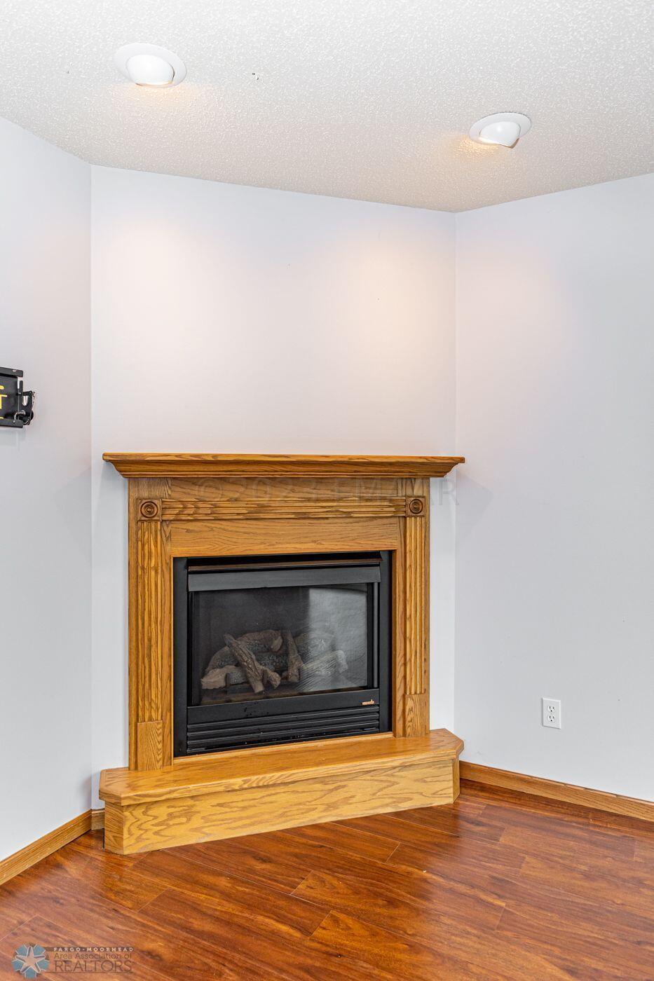 Fireplace Detail