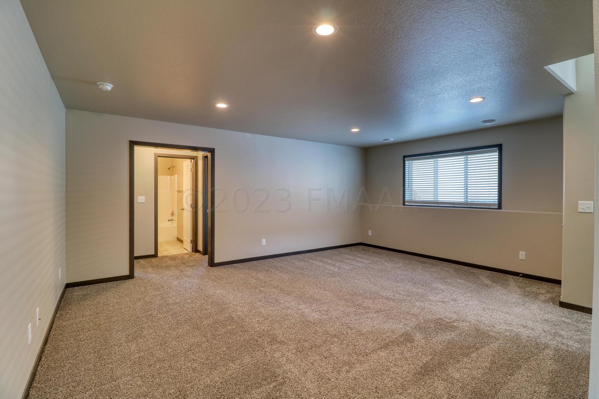 Basement1_0