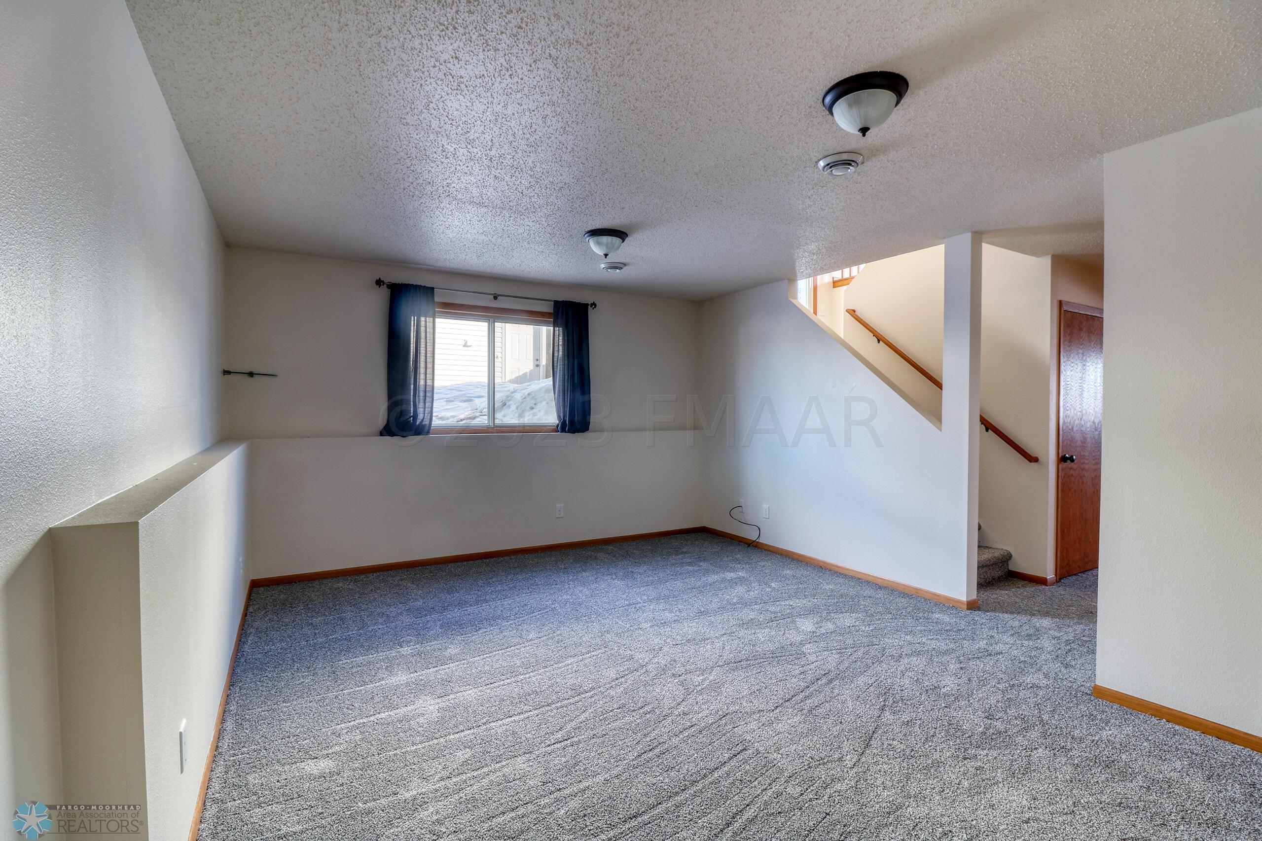 Basement Family Room