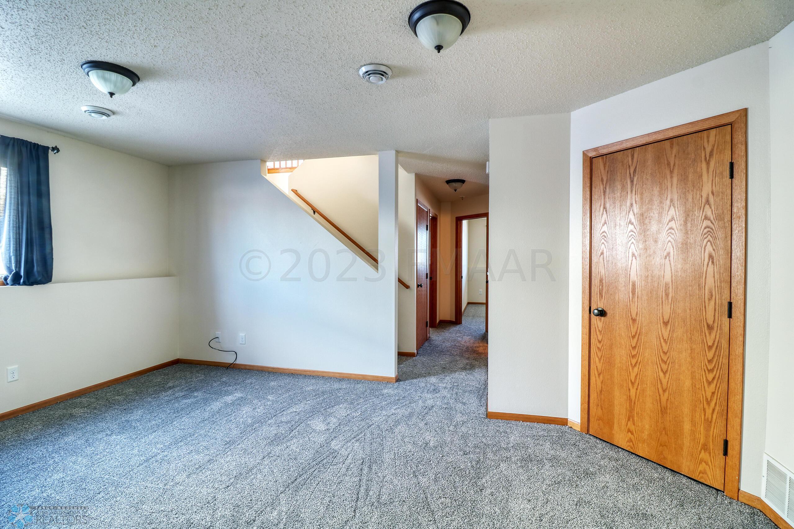 Basement Family Room