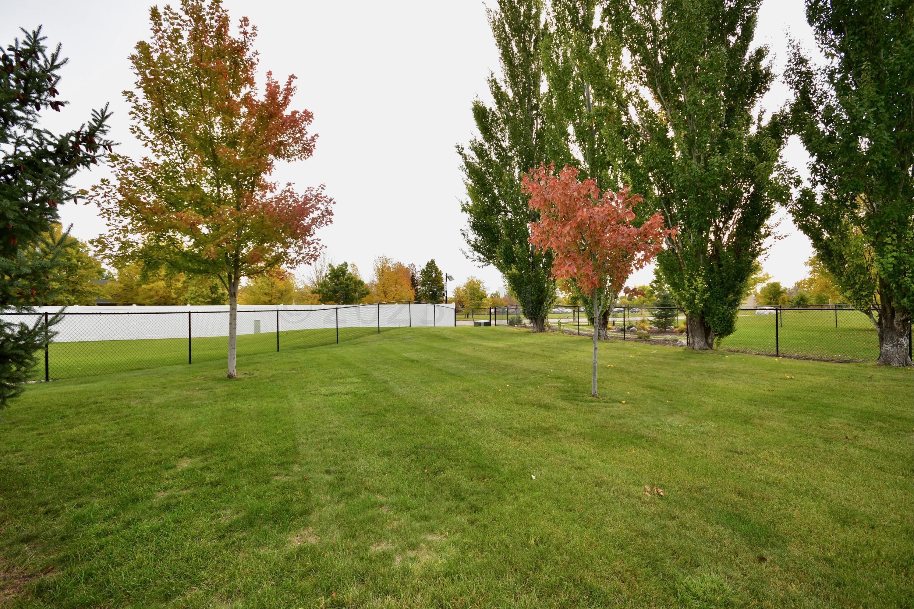 Fully Fenced Backyard