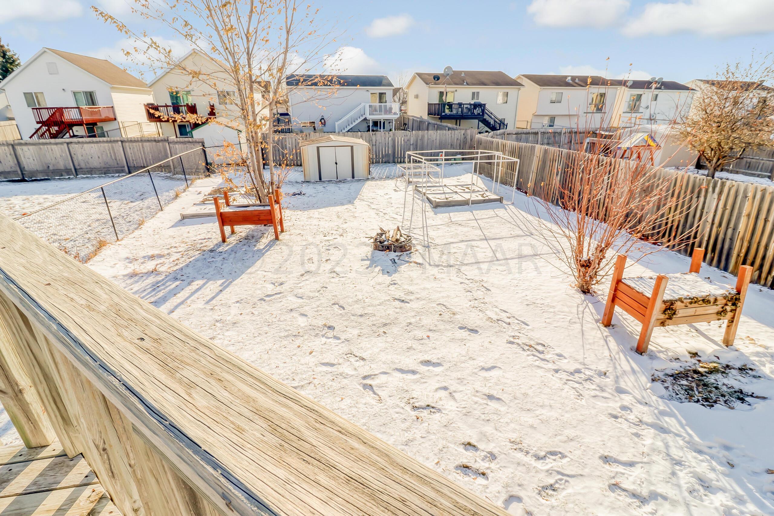 Backyard1_1