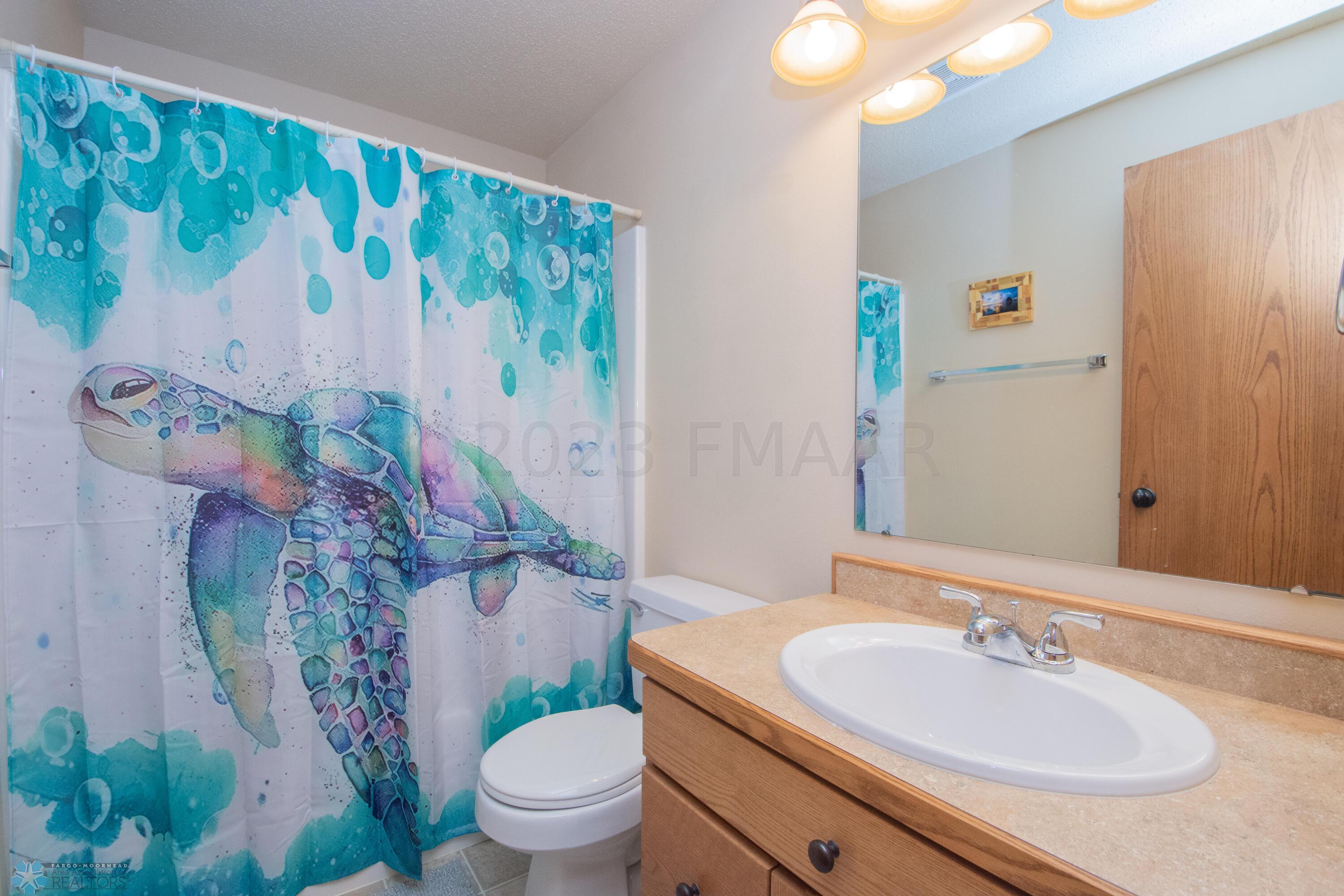Lower Level Bathroom
