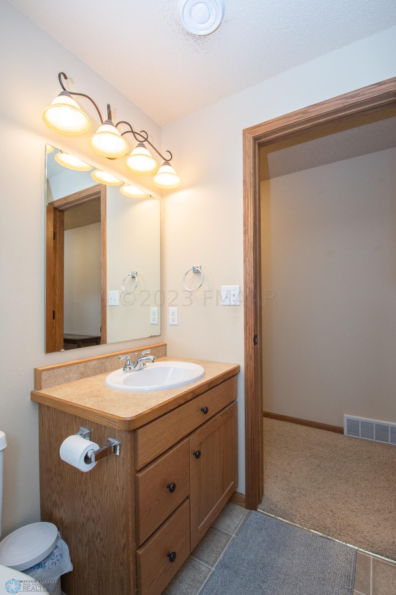 Lower Level Bathroom