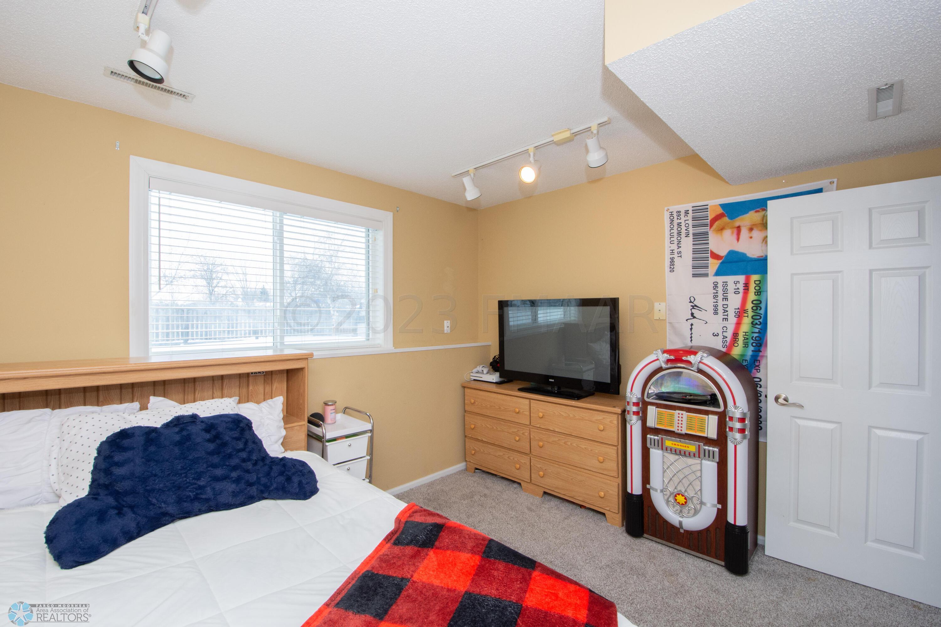Lower Level Bedroom