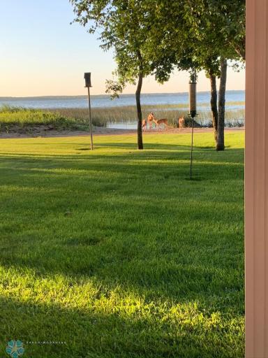 41864 RIVIERA Drive, Ottertail, MN 56571