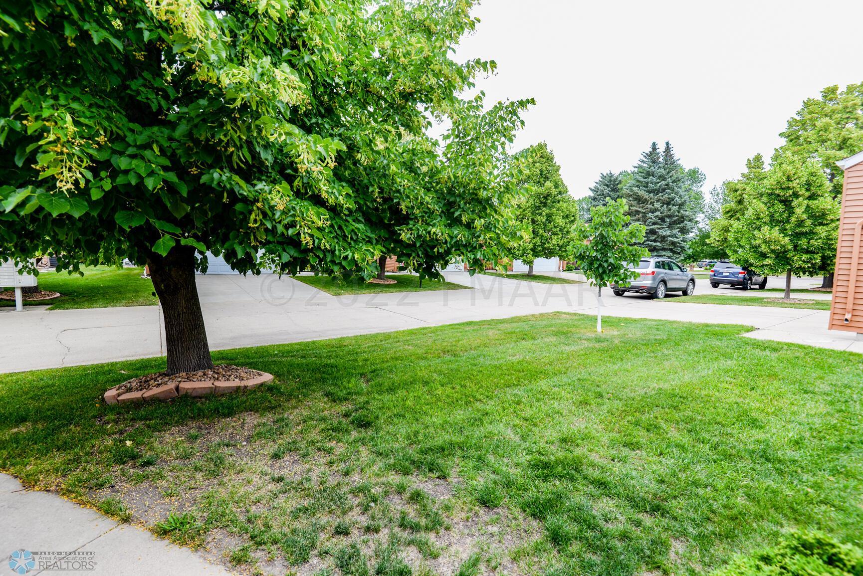 Front Yard