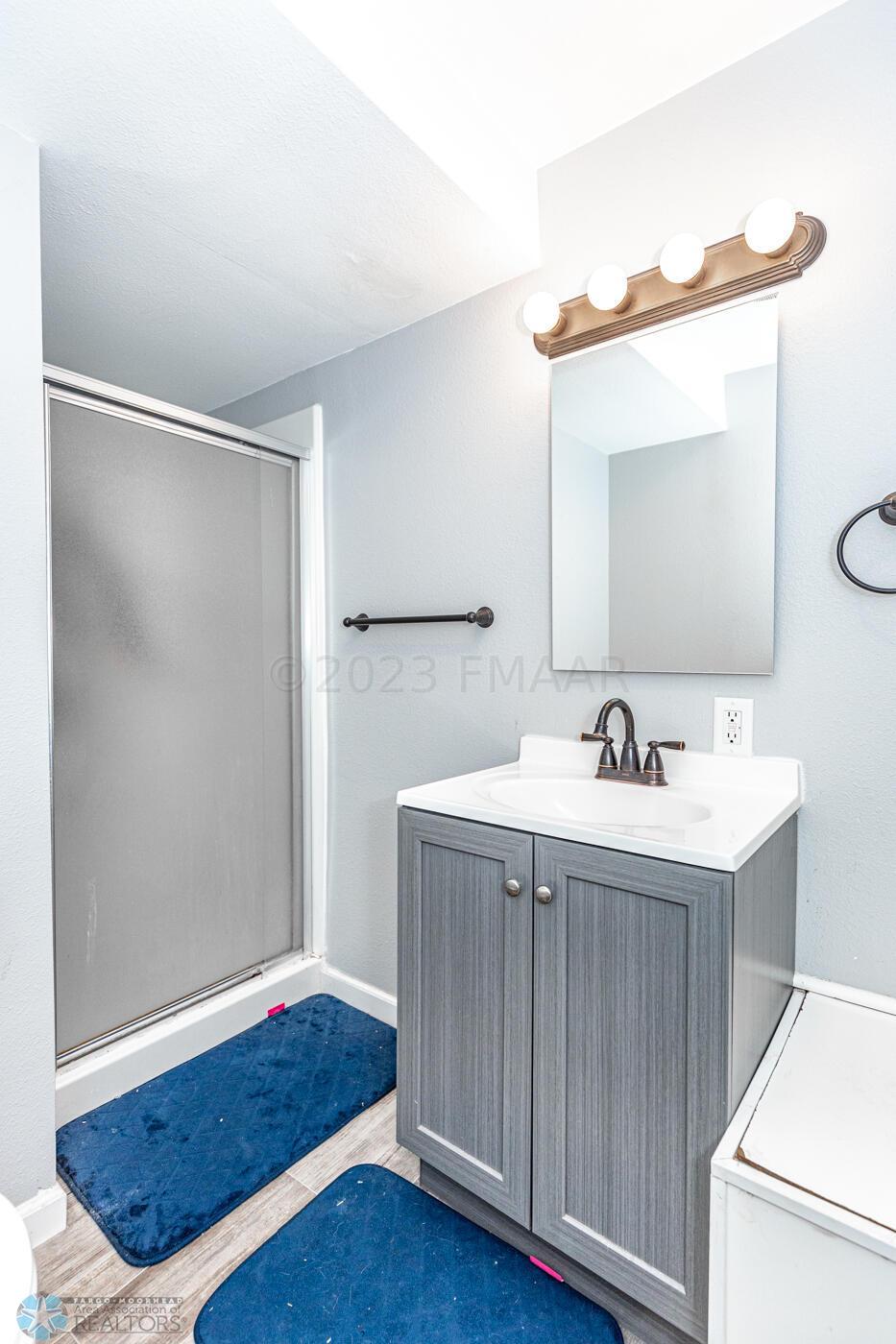 Basement Bathroom