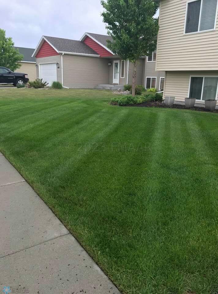 Summer Views of Front Yard