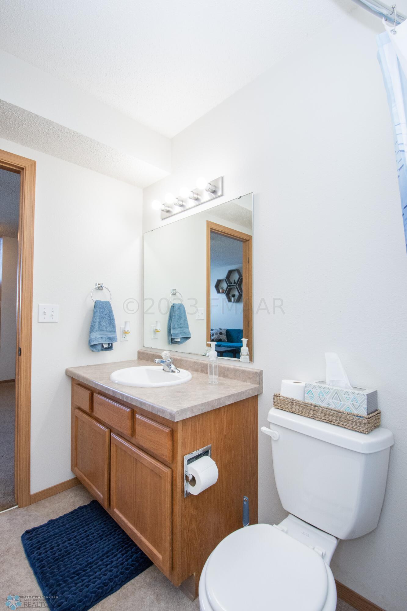 Lower Level Full Bathroom