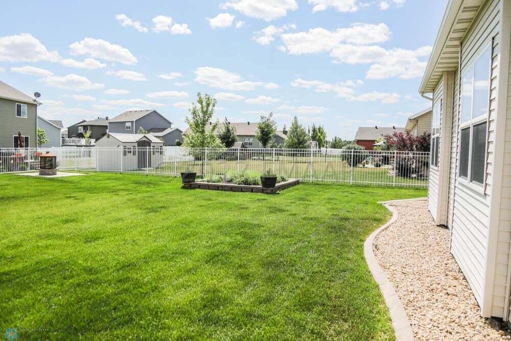 Summer Back yard