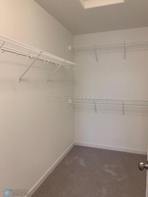 Master Walk in Closet