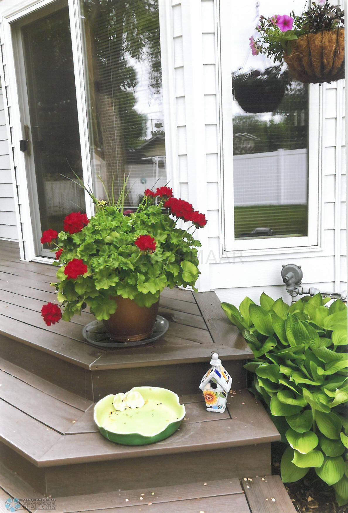 Plants