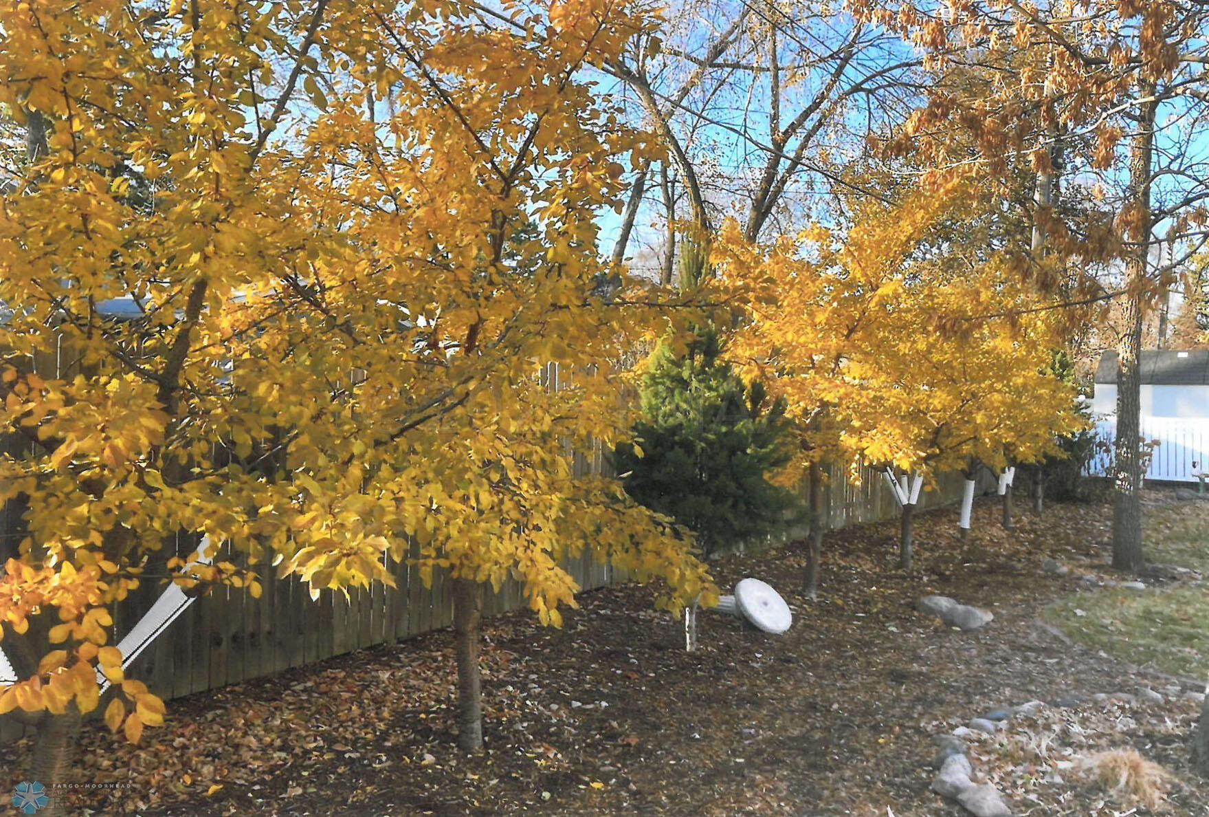 Trees