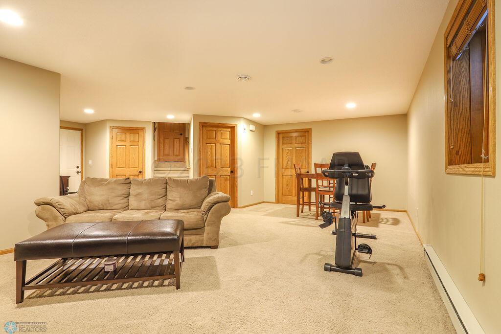 Basement Living Room