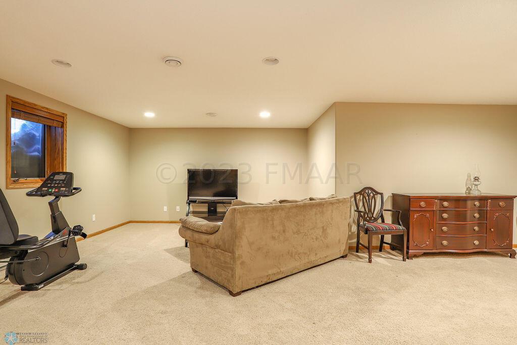 Basement Living Room