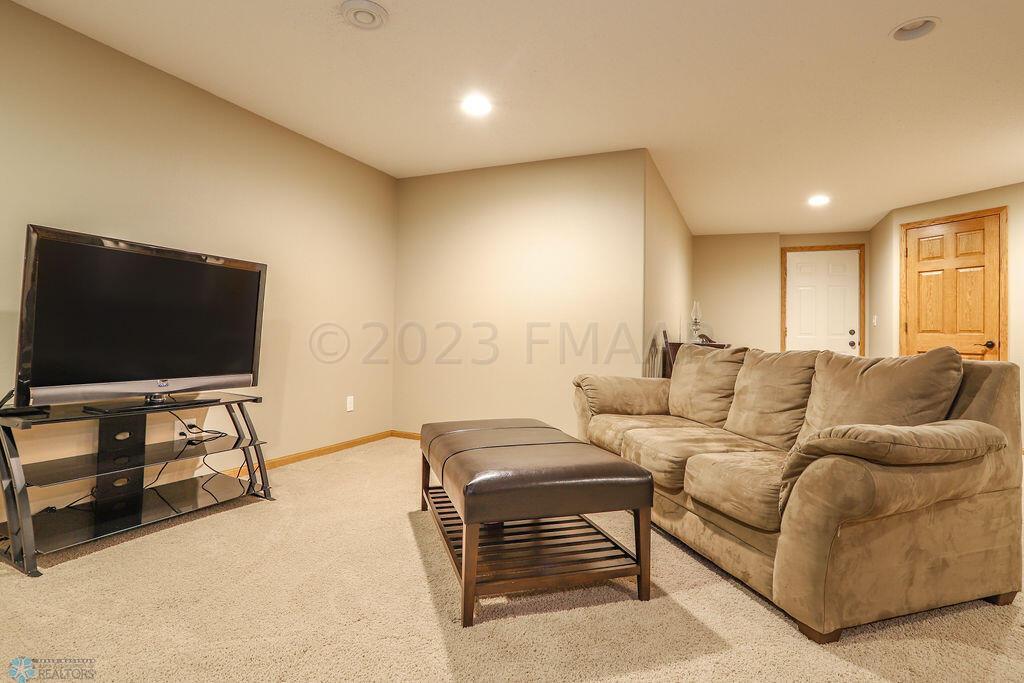 Basement Living Room