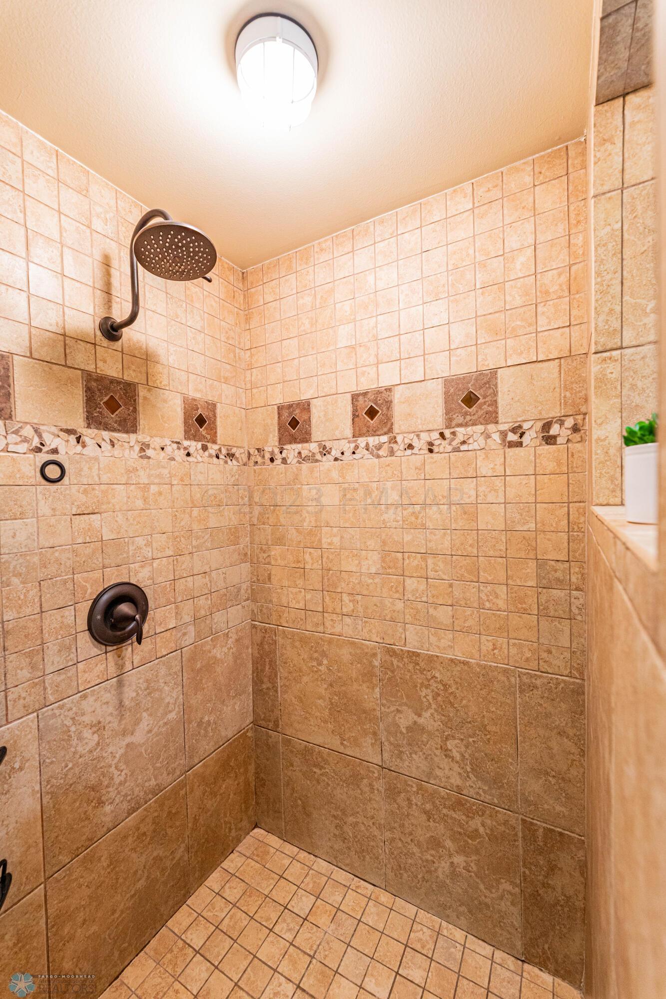 Master Bath Shower