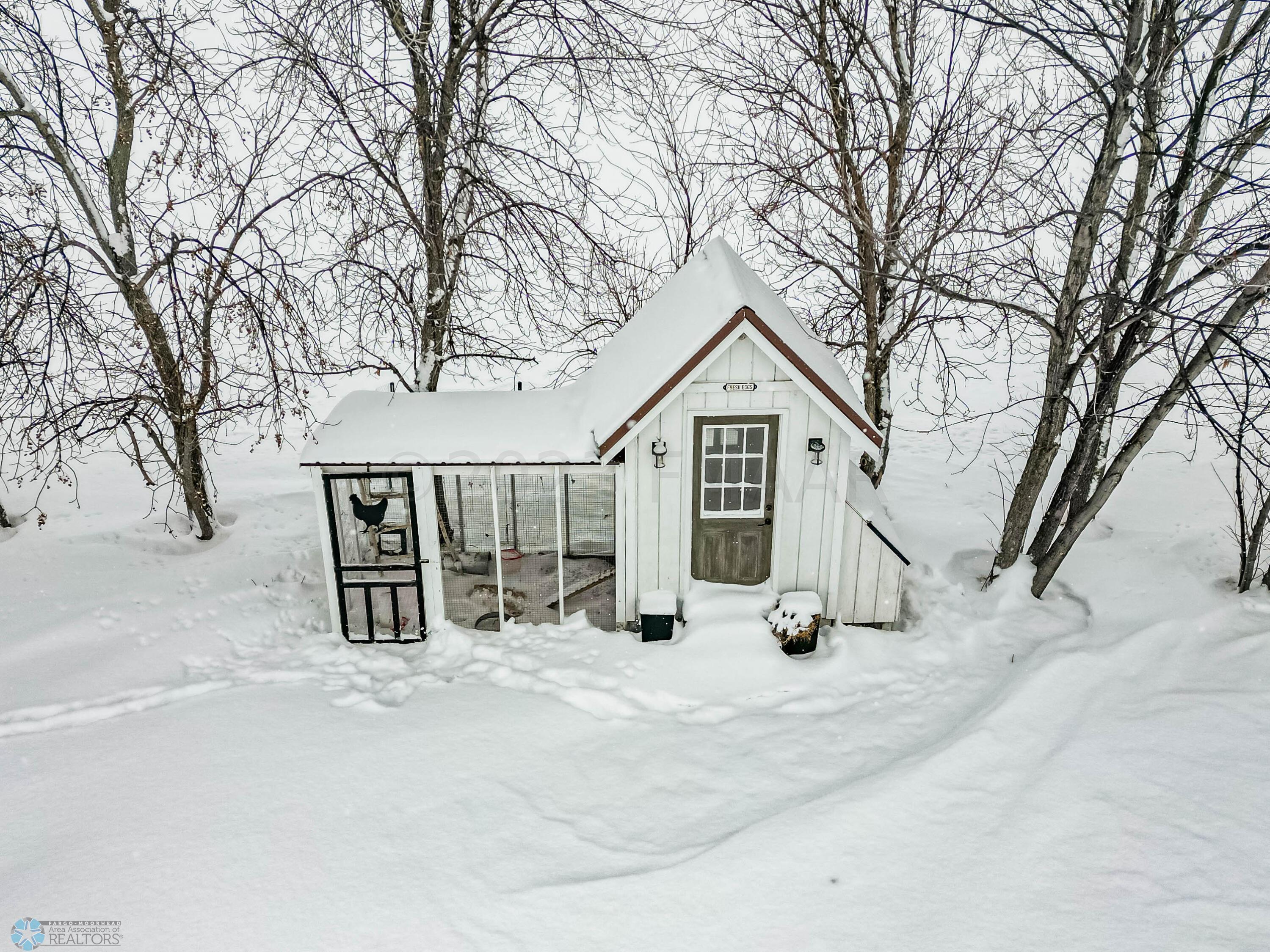 Chicken Coop