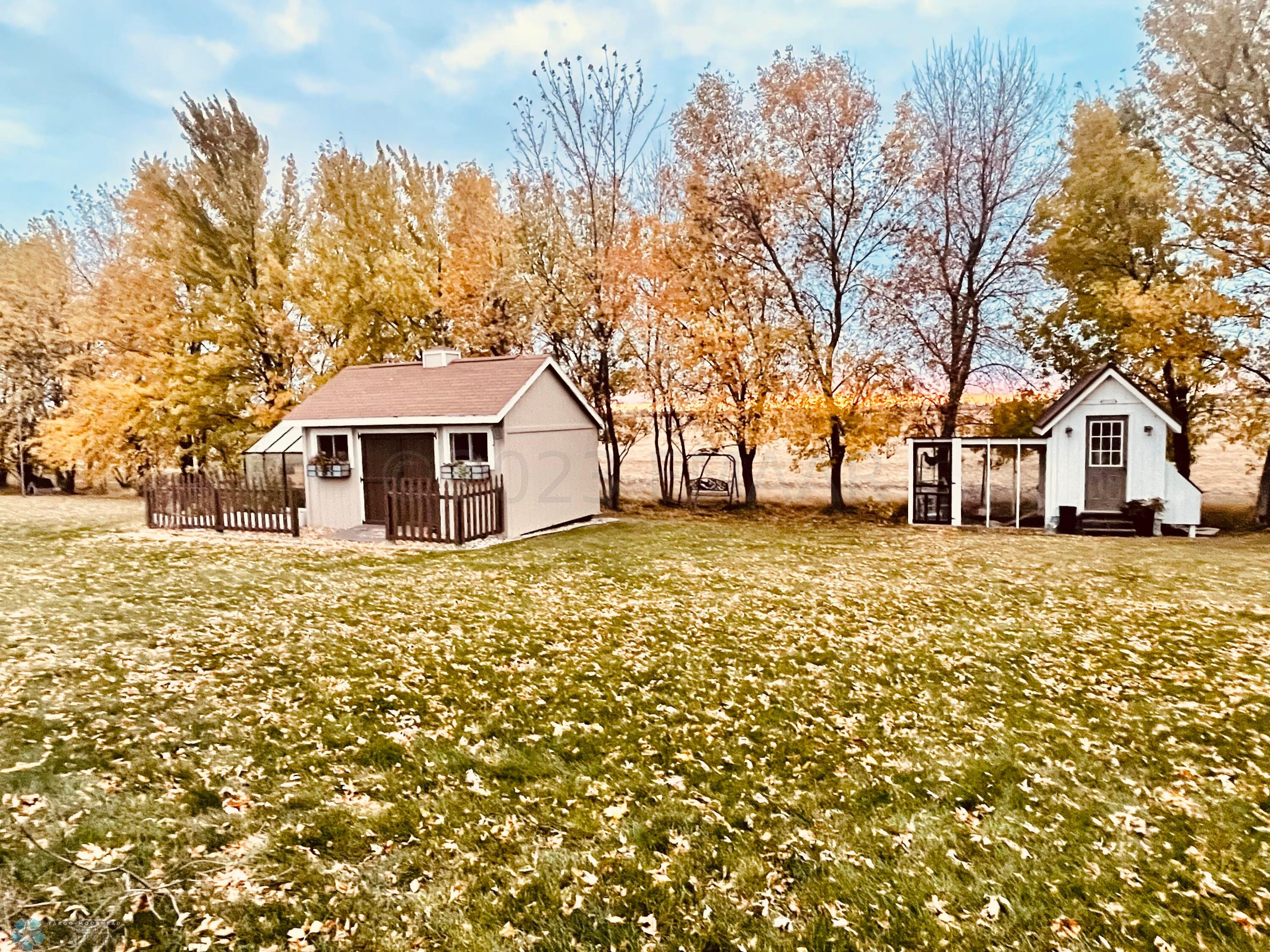 Shed and Chicken Coop