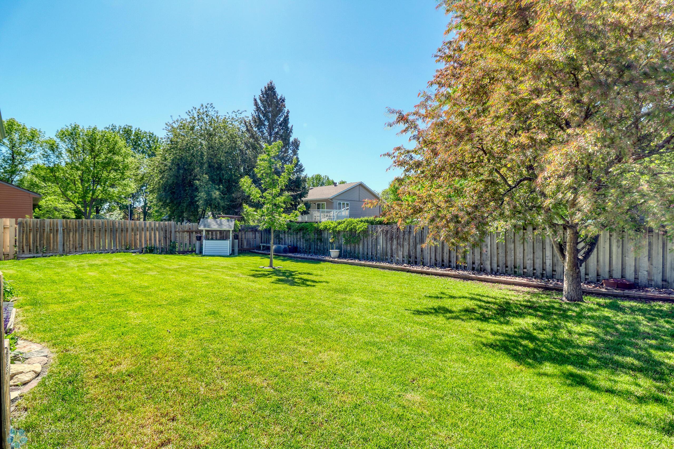 Backyard1_4