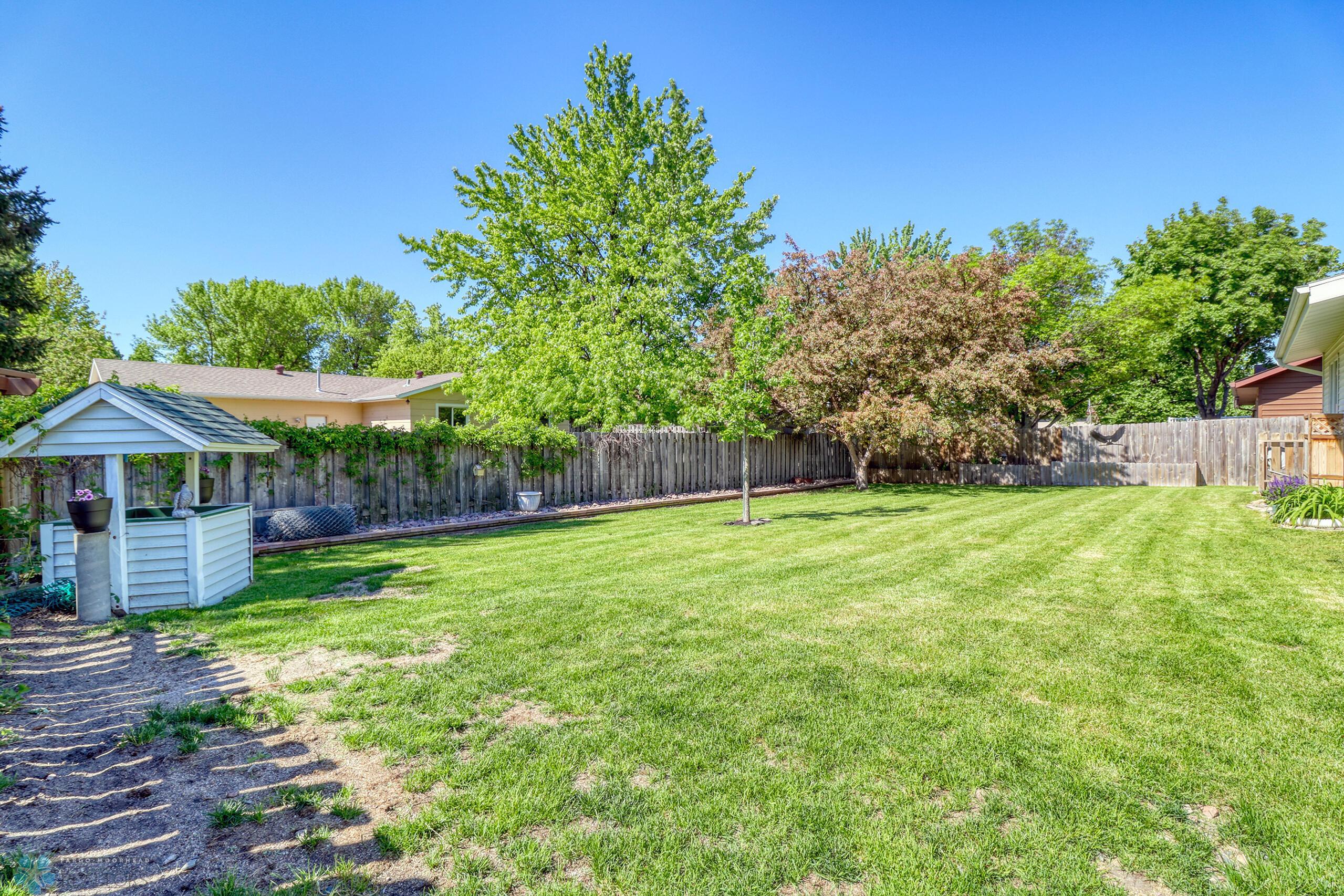 Backyard1_3