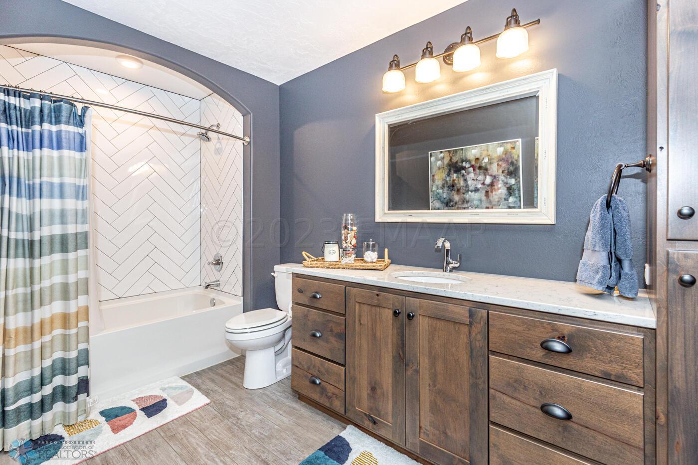 Lower Level Bathroom