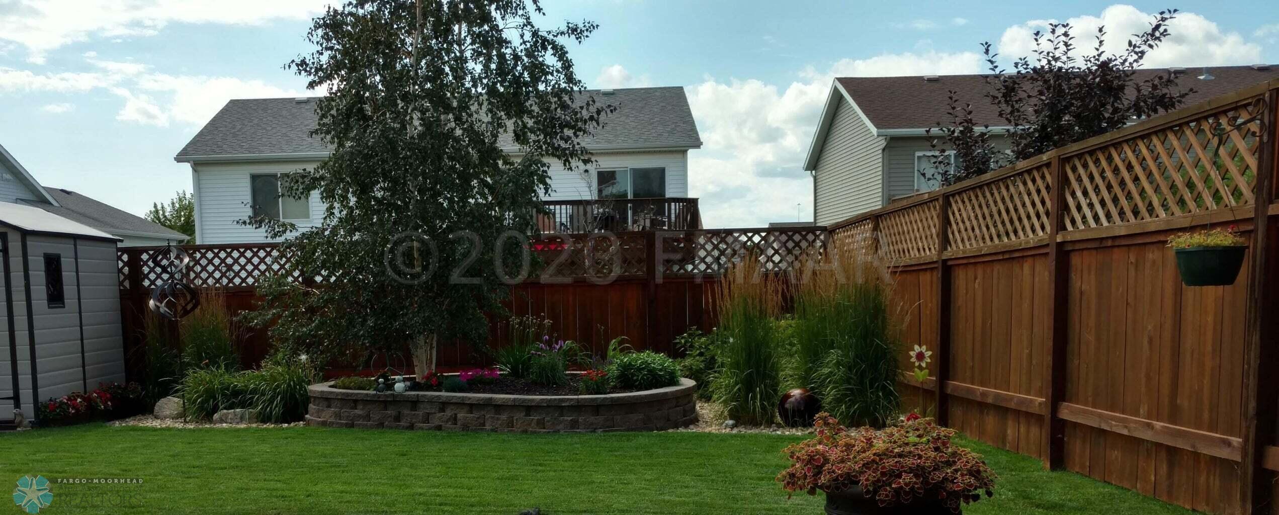 back yard