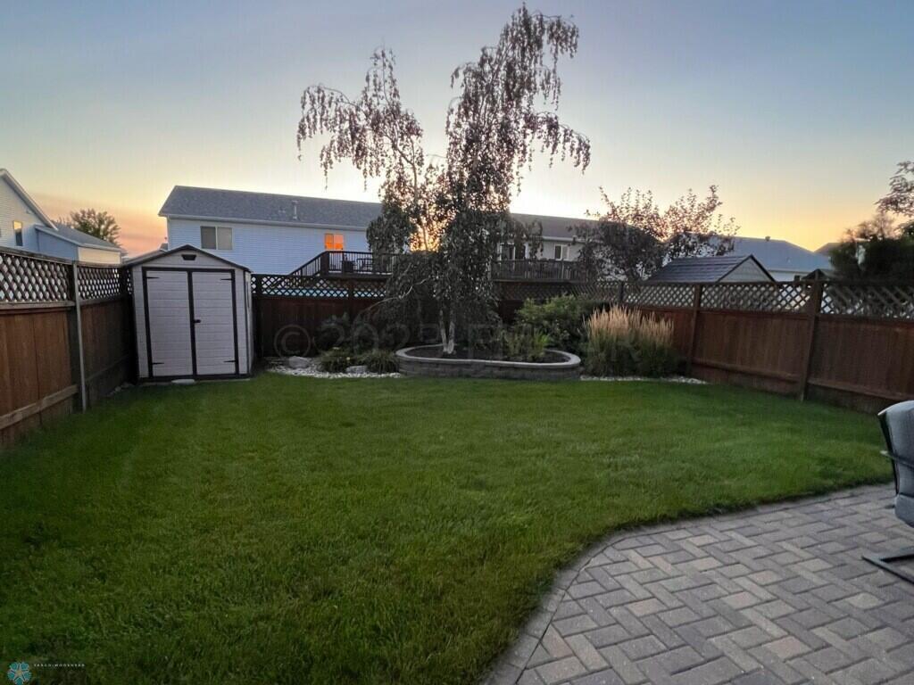 back yard
