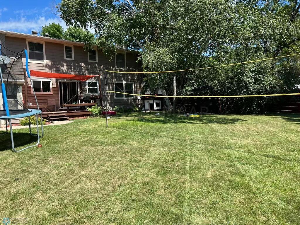 Backyard in Summer