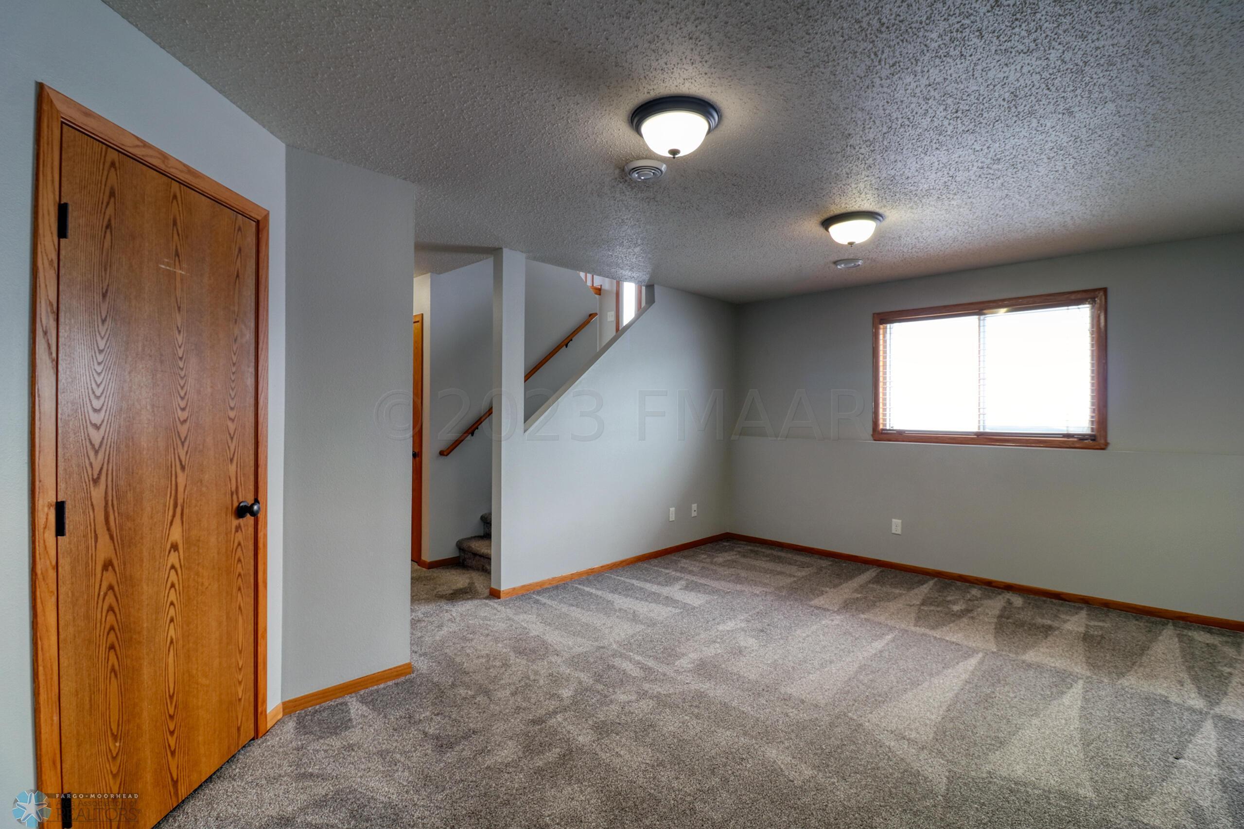Basement Family Room