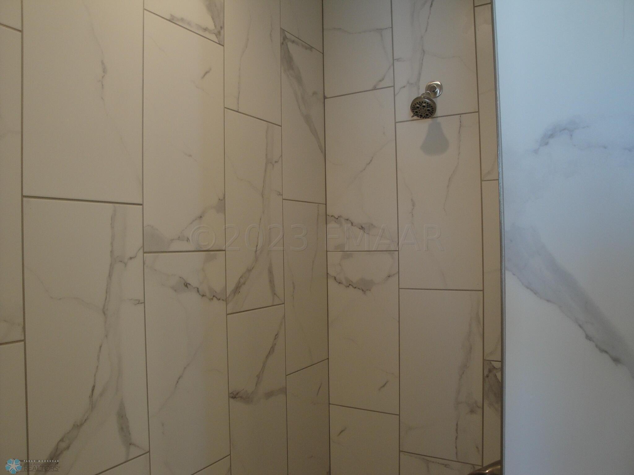 Primary Bath Shower