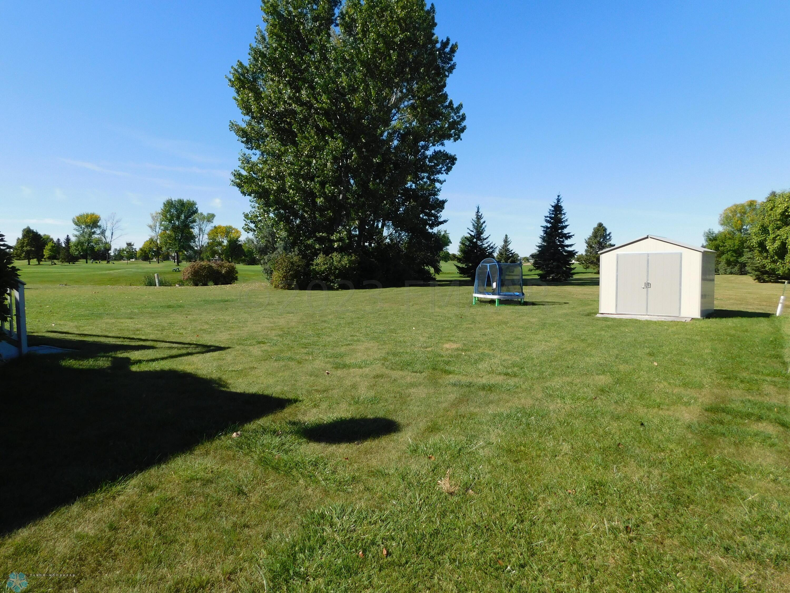 back yard