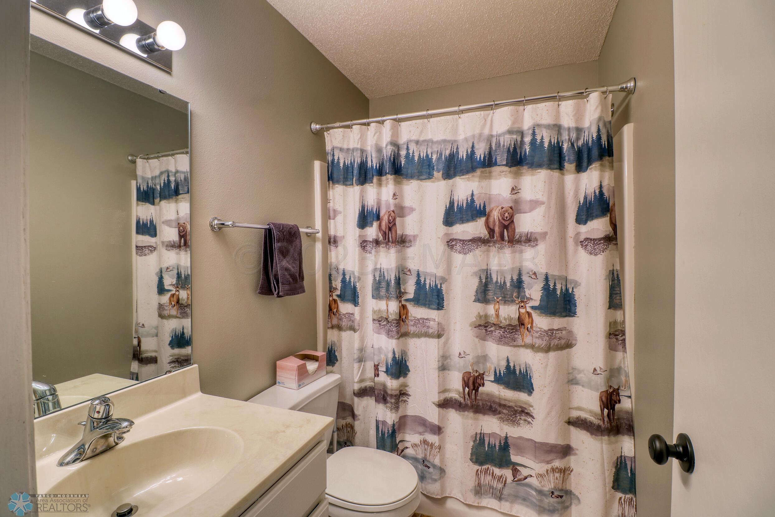 Basement Bathroom1_1
