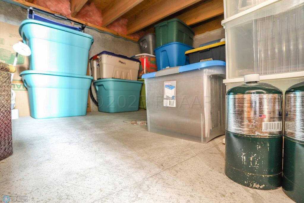 Storage under stairs