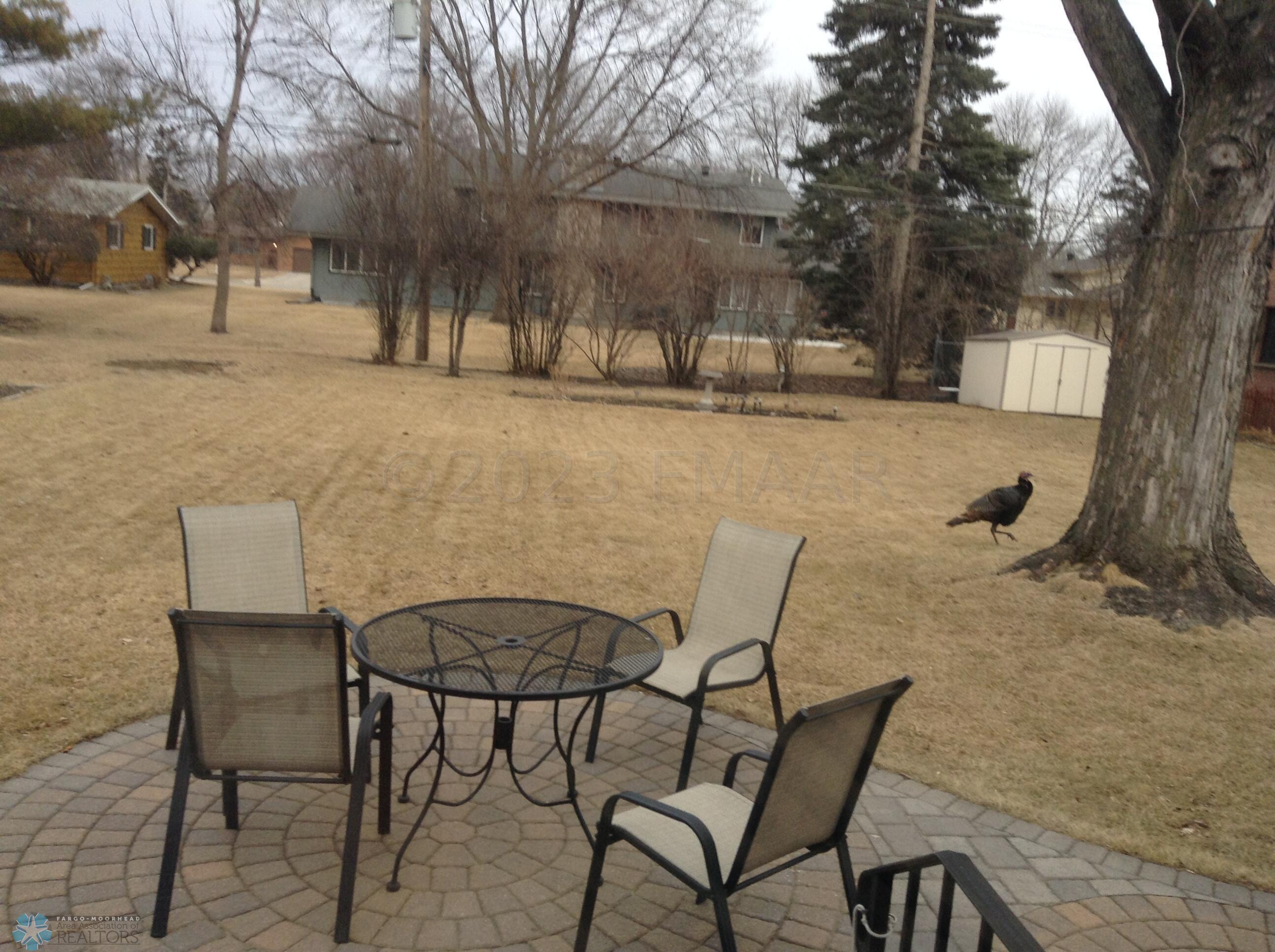 Fall Patio Picture