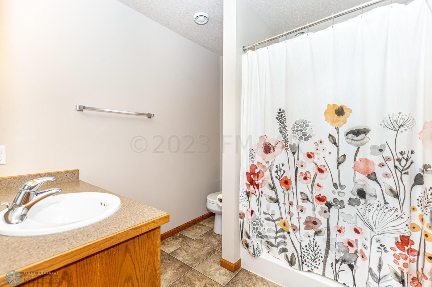 Lower Level Bathroom