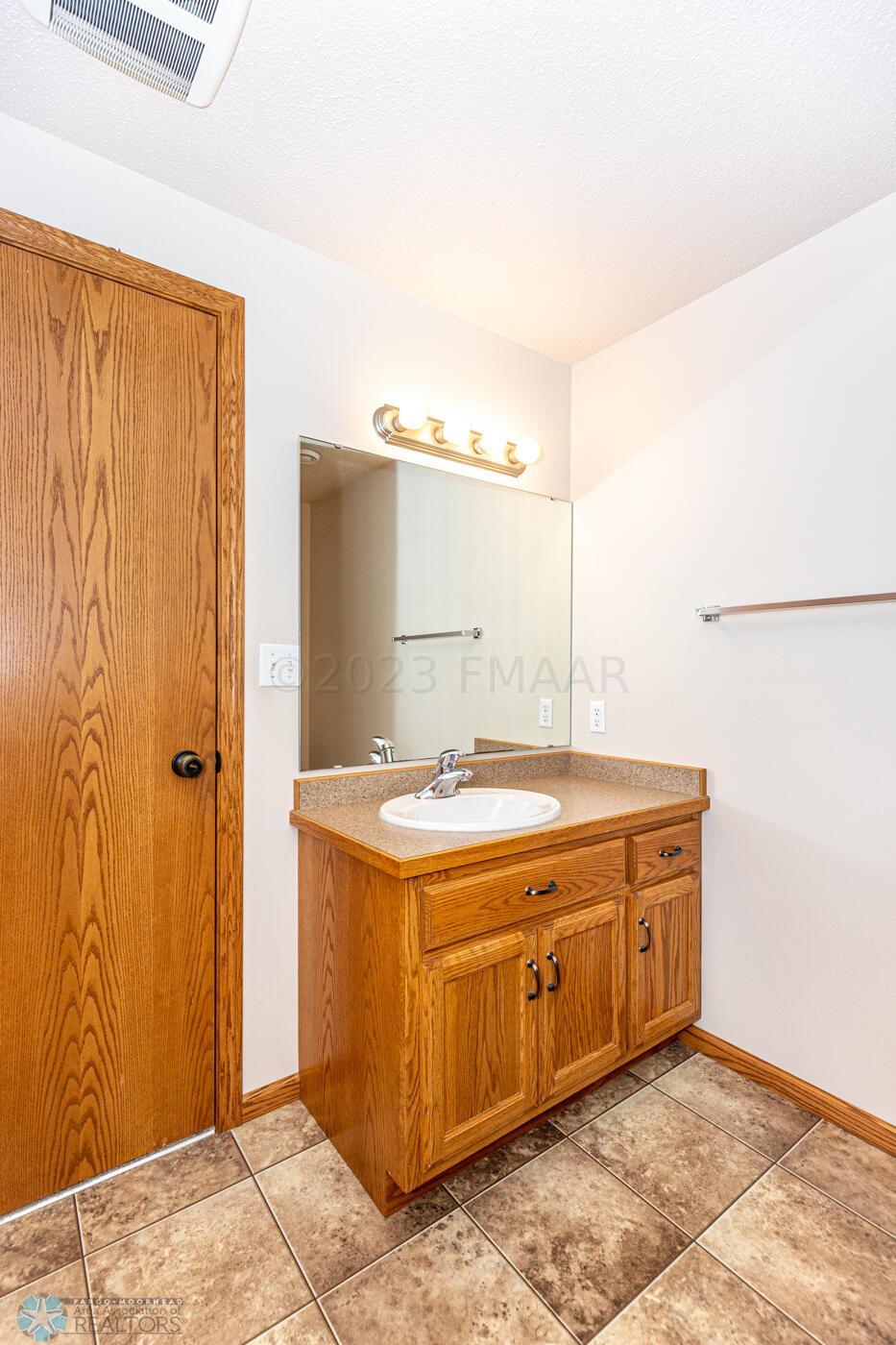 Lower Level Bathroom