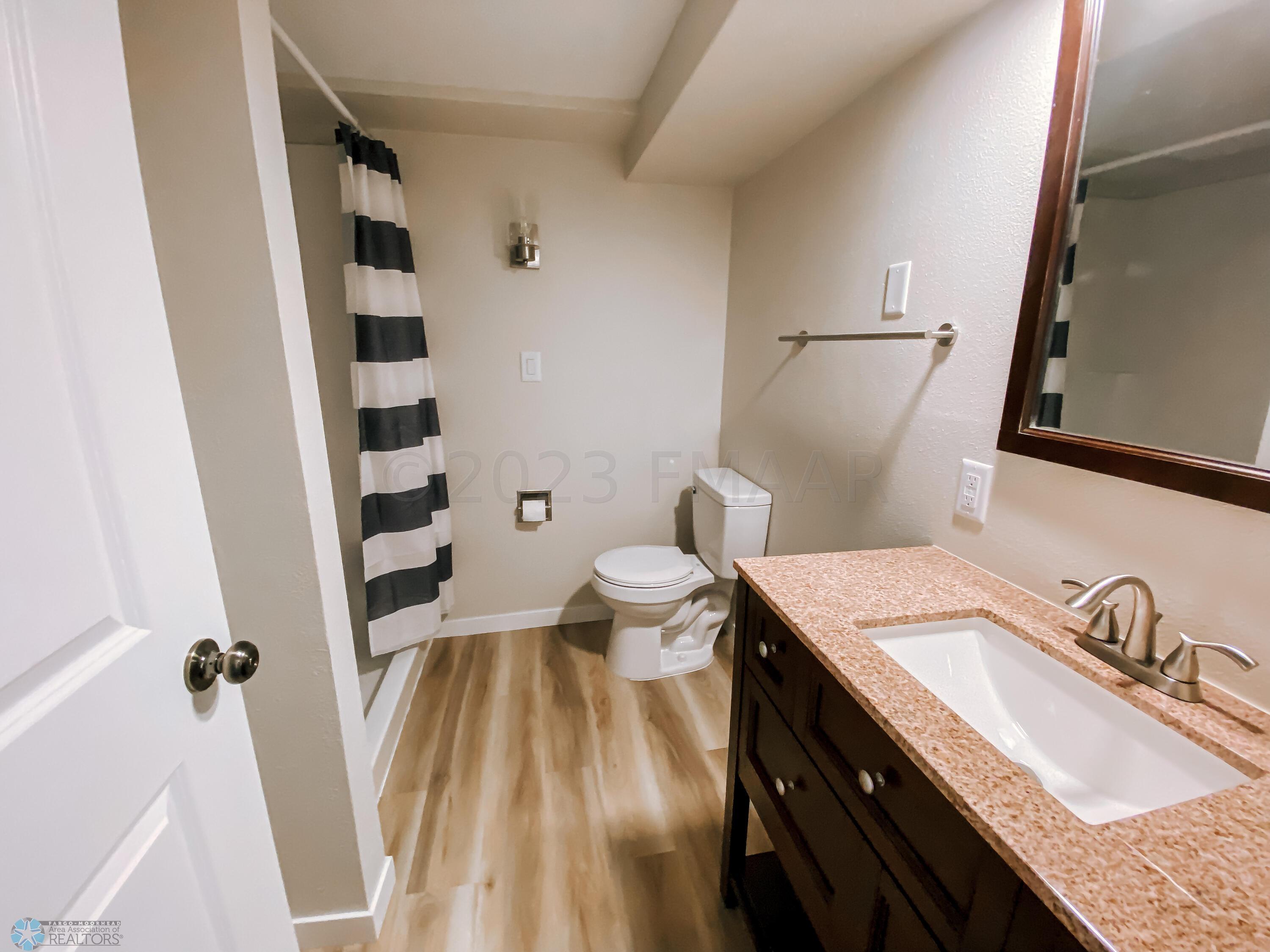 Basement Bathroom