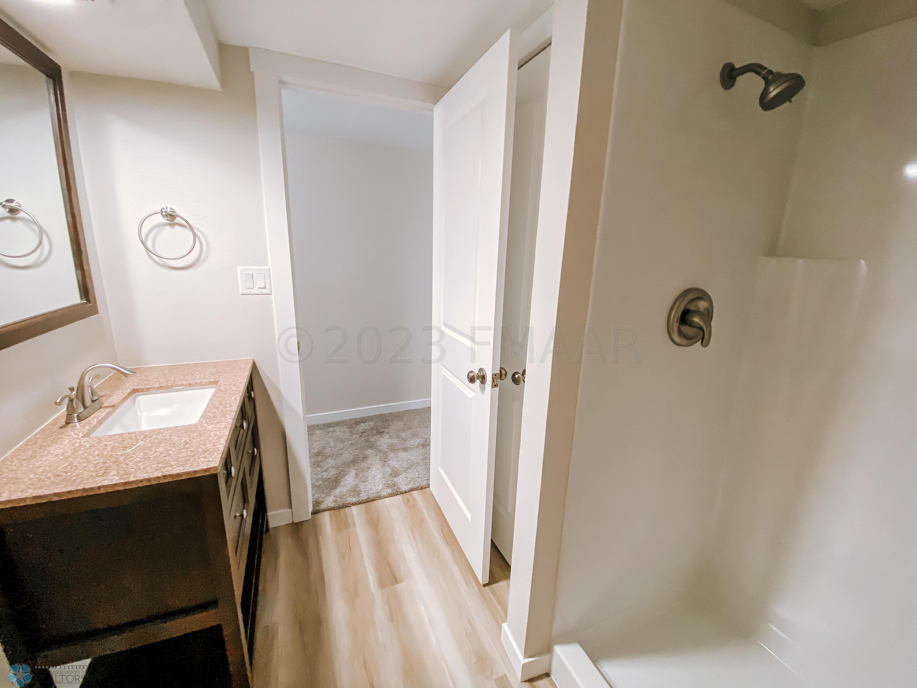 Basement Bathroom