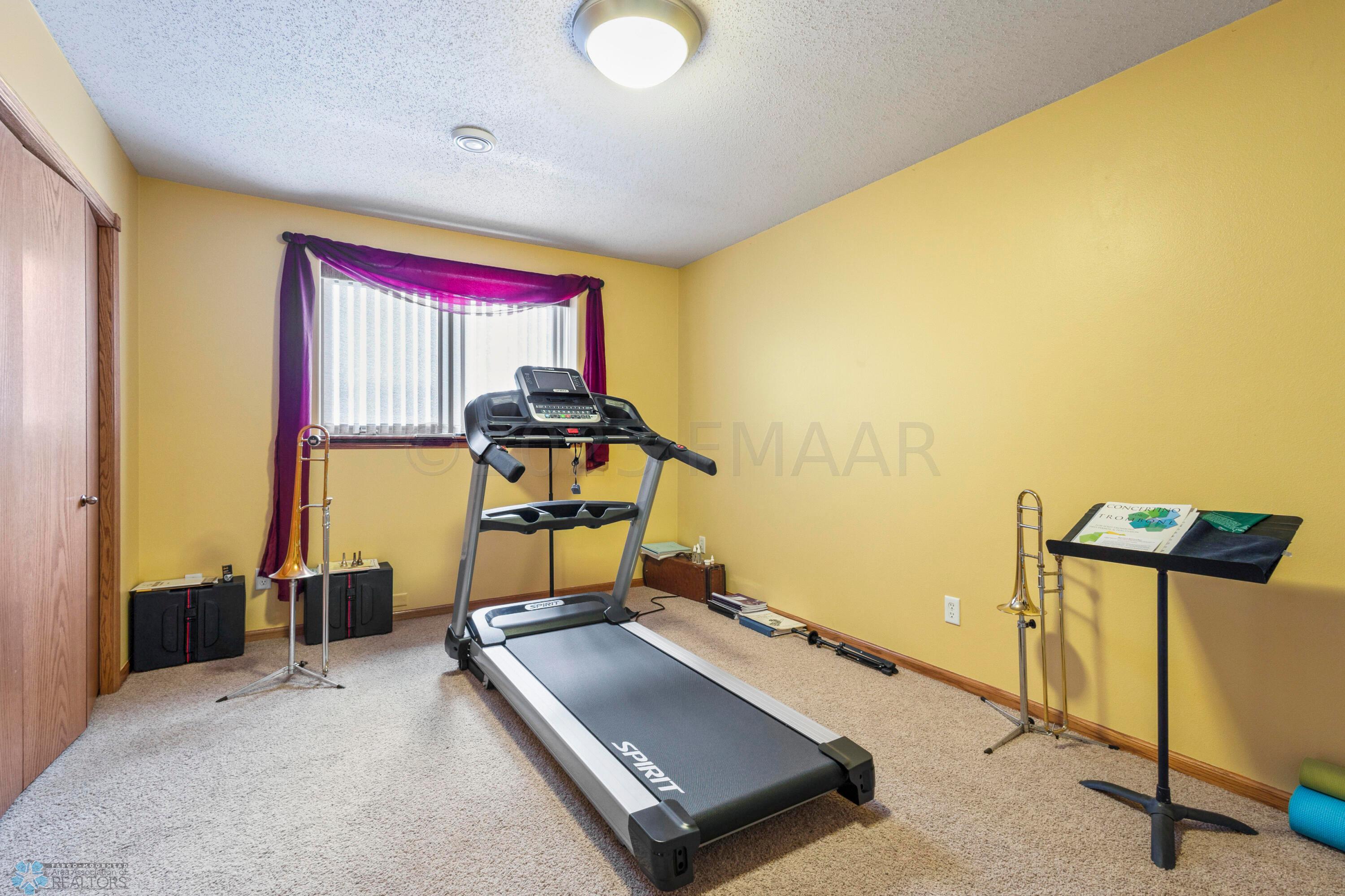 Lower Level Bedroom 3