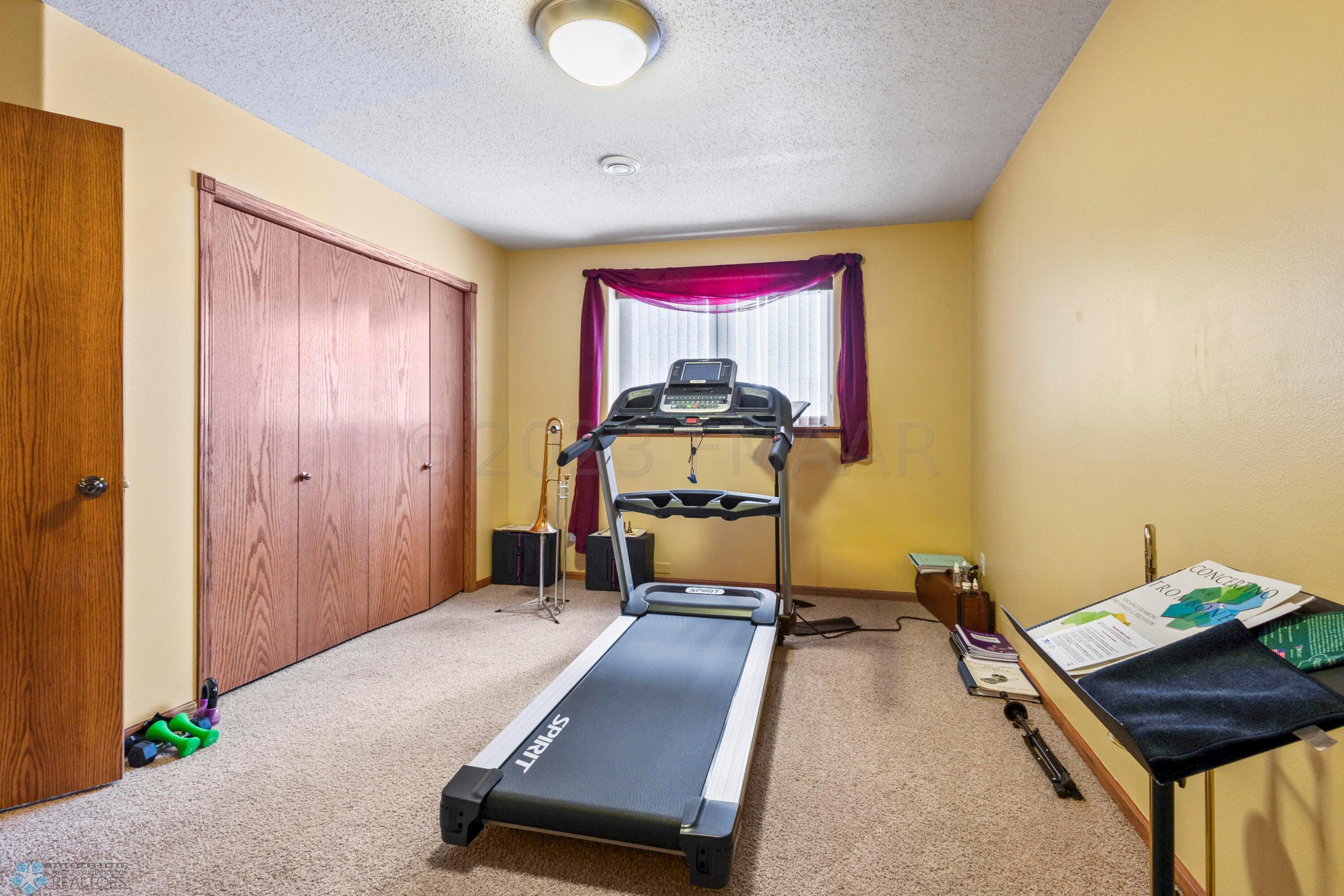 Lower Level Bedroom 3