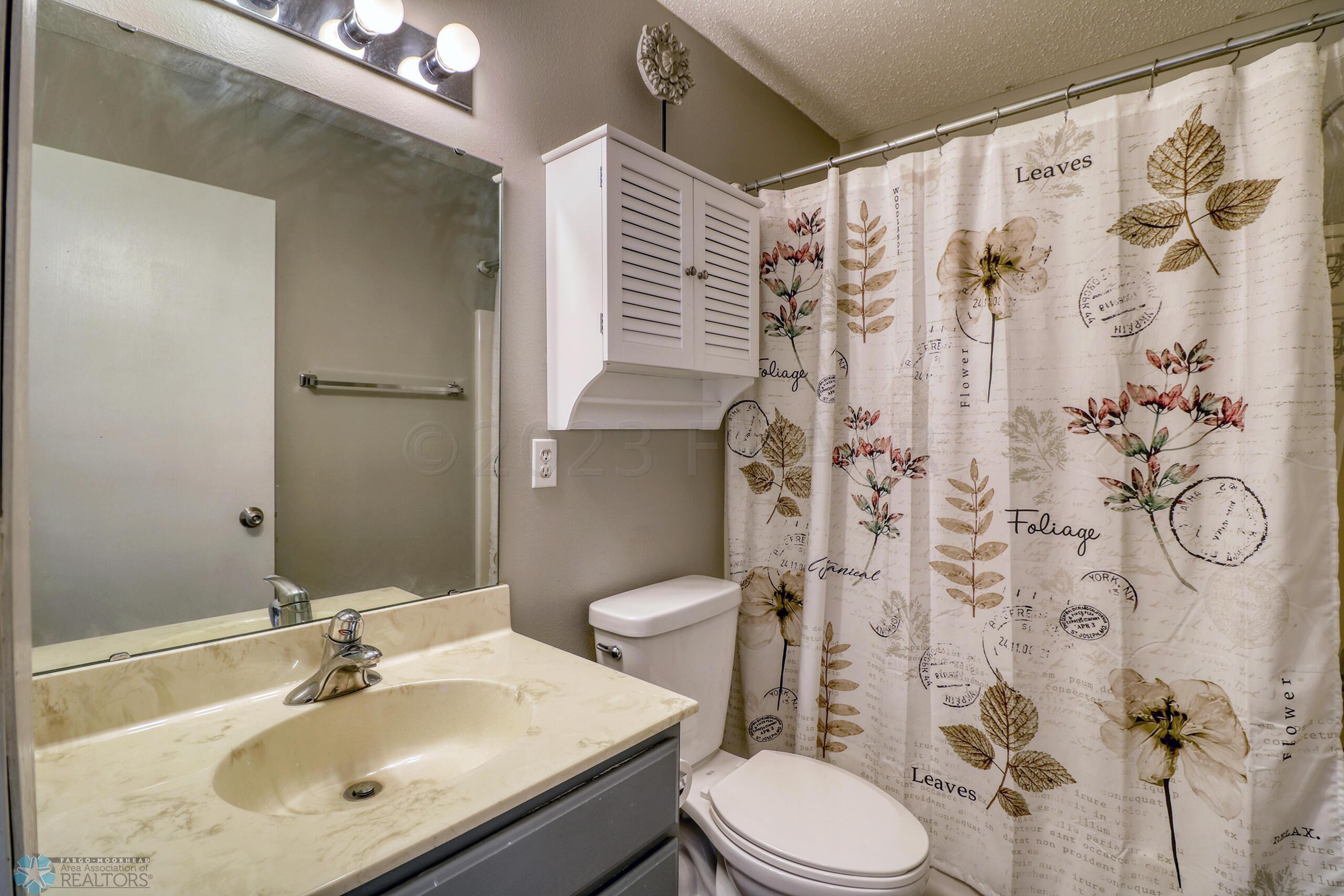 Basement Bathroom