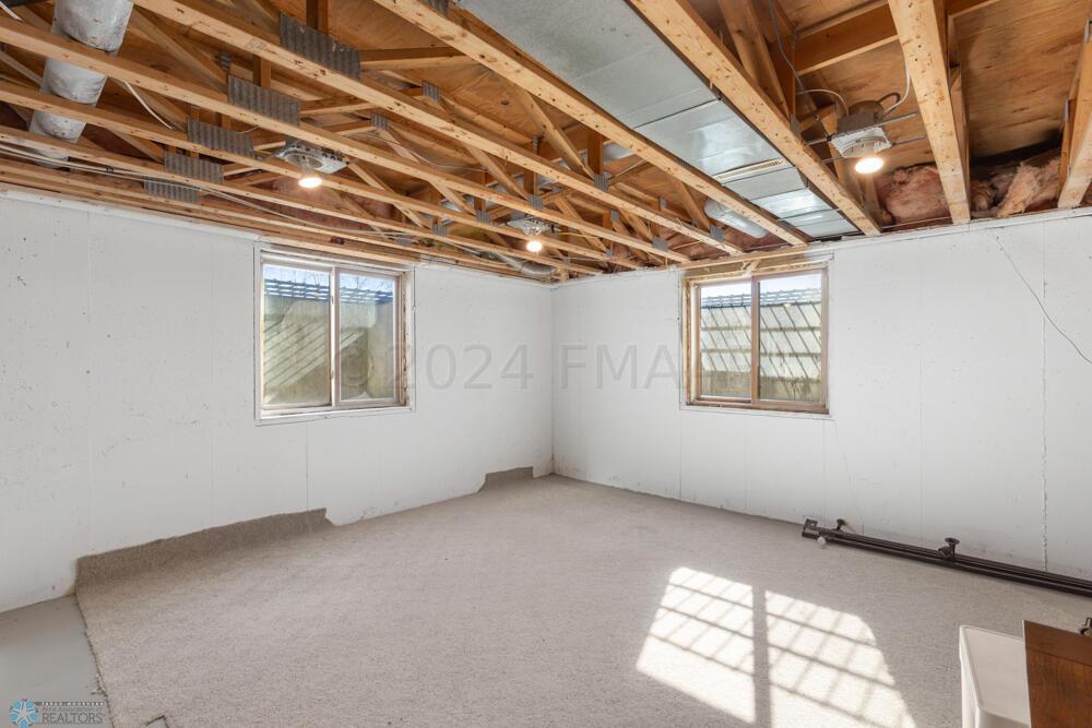 Unfinished Basement