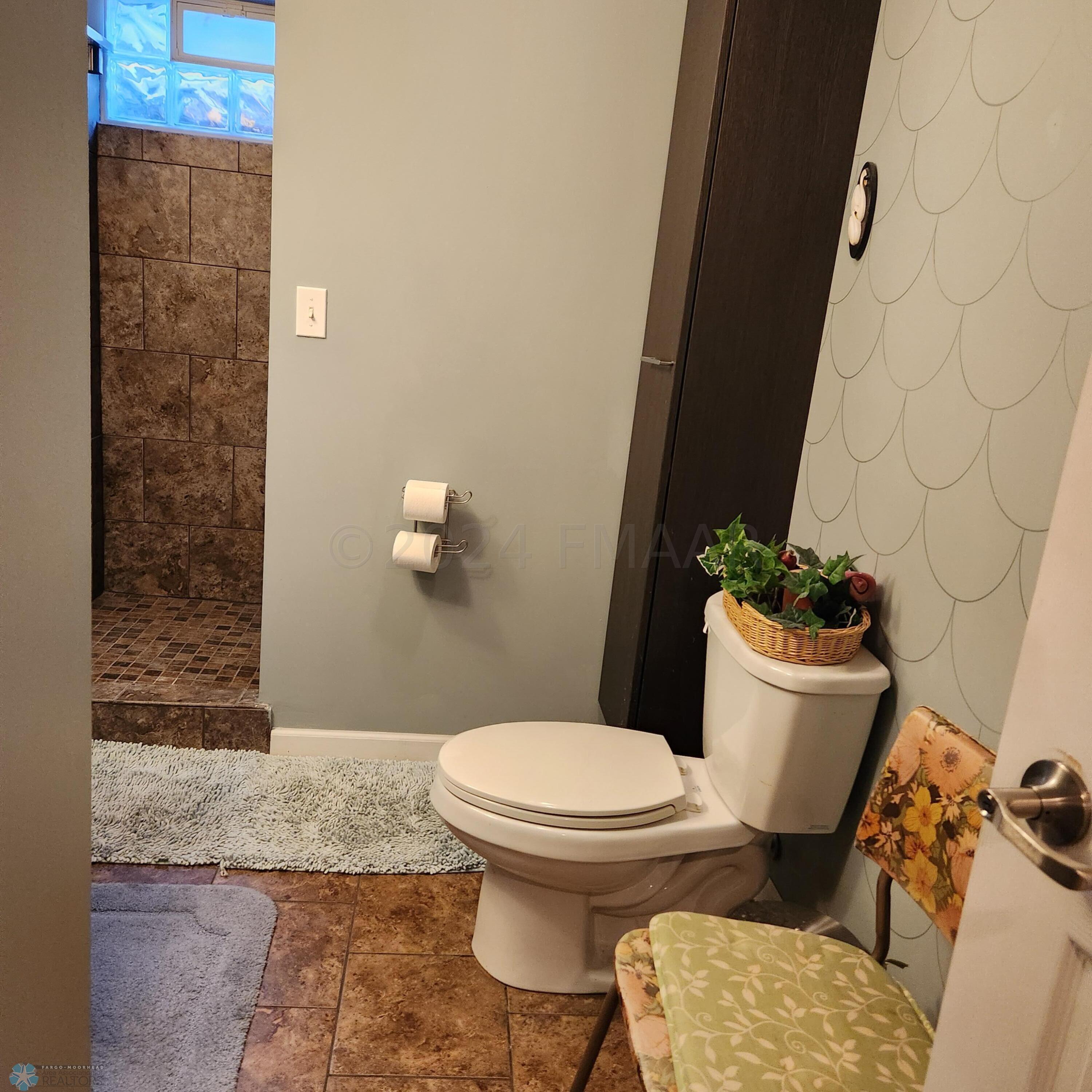 Lower Level Bathrooom