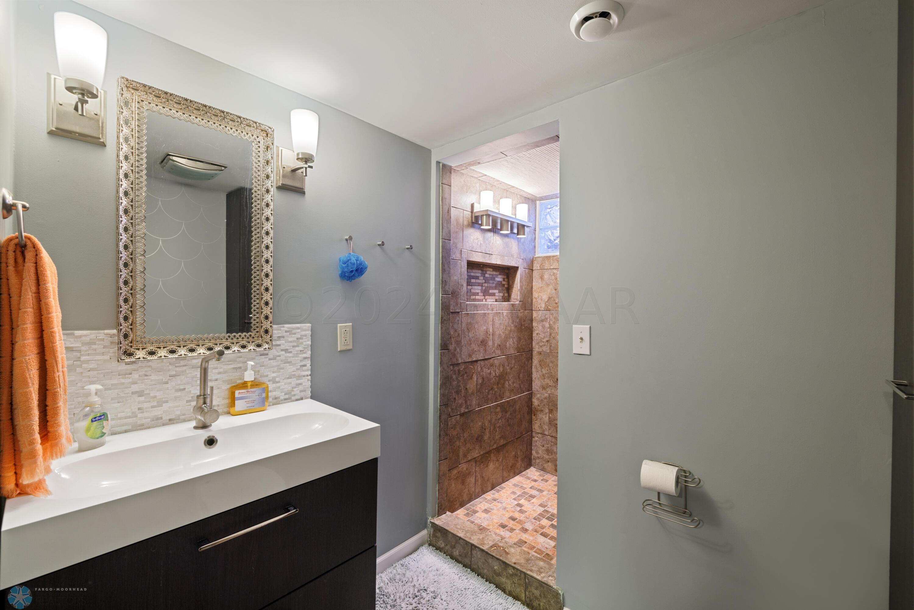 Lower Level Bathroom