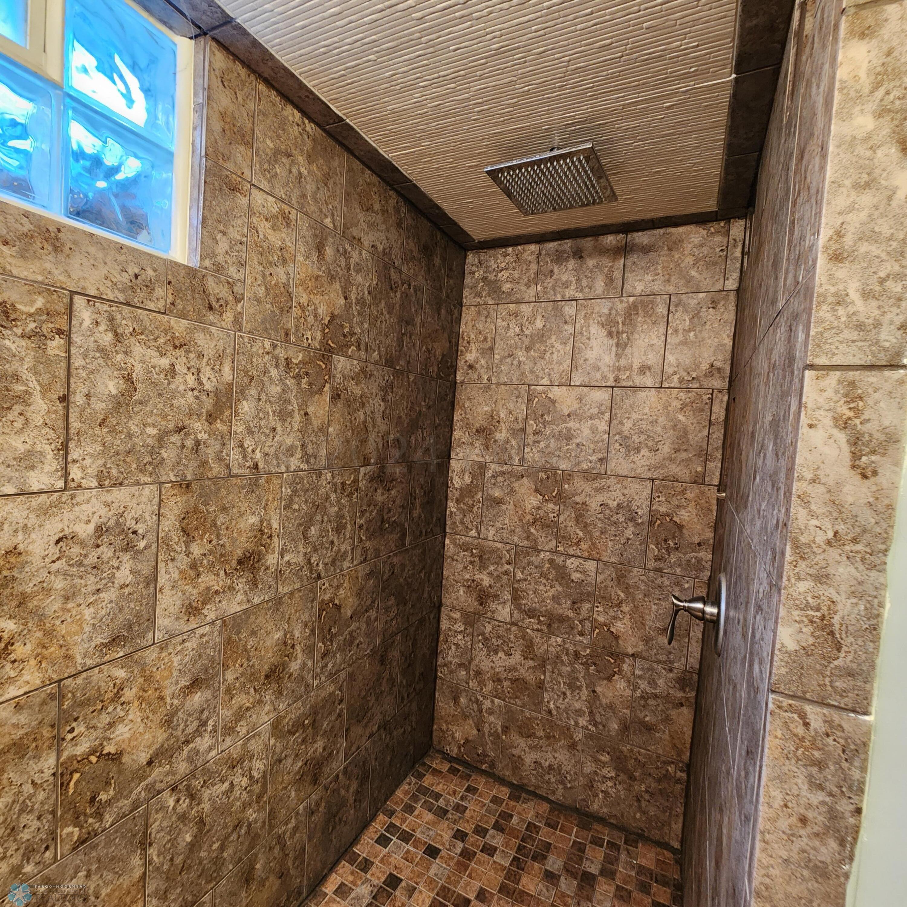 Lower Level Bathroom