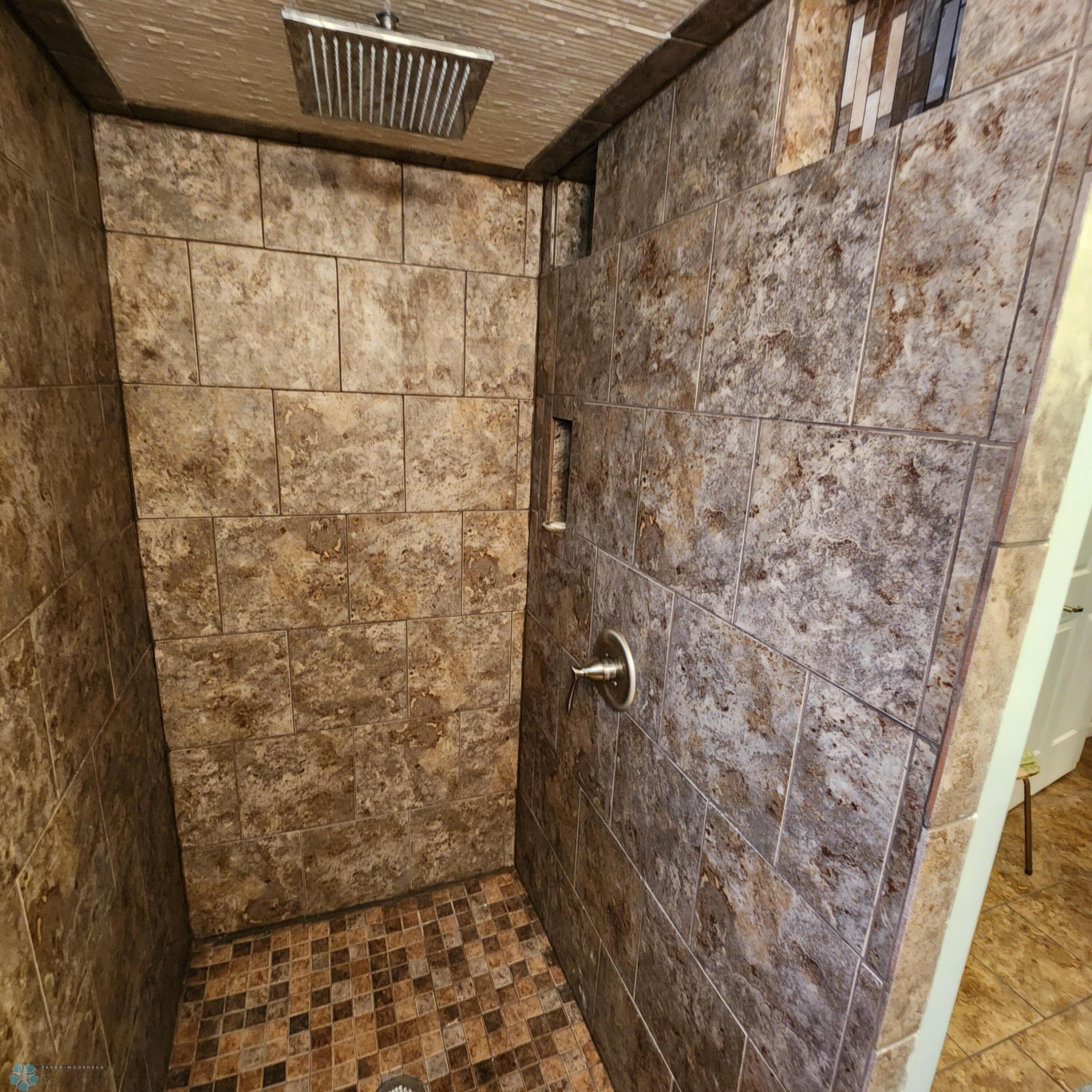 Lower Level Bathroom