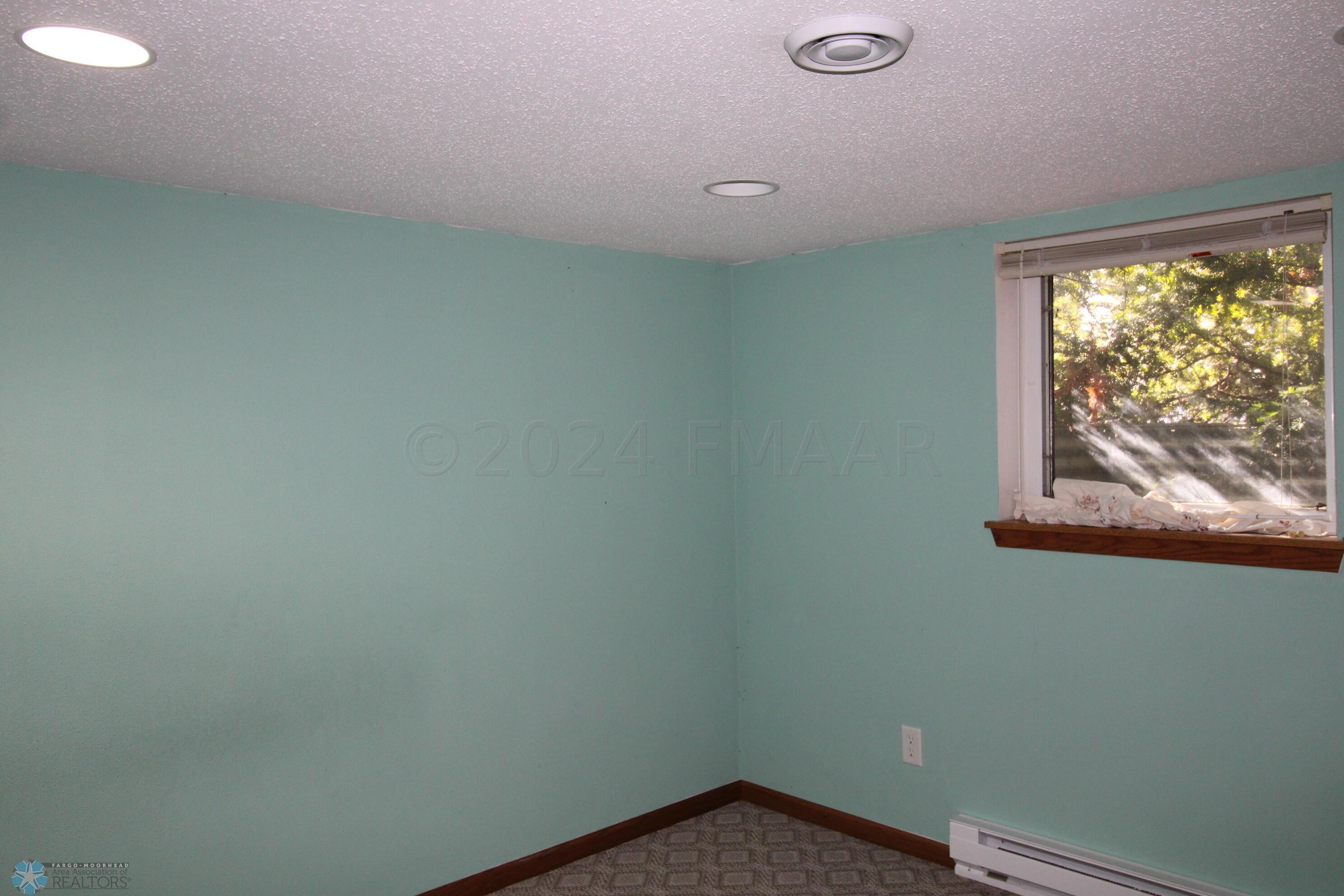 Basement Bedroom