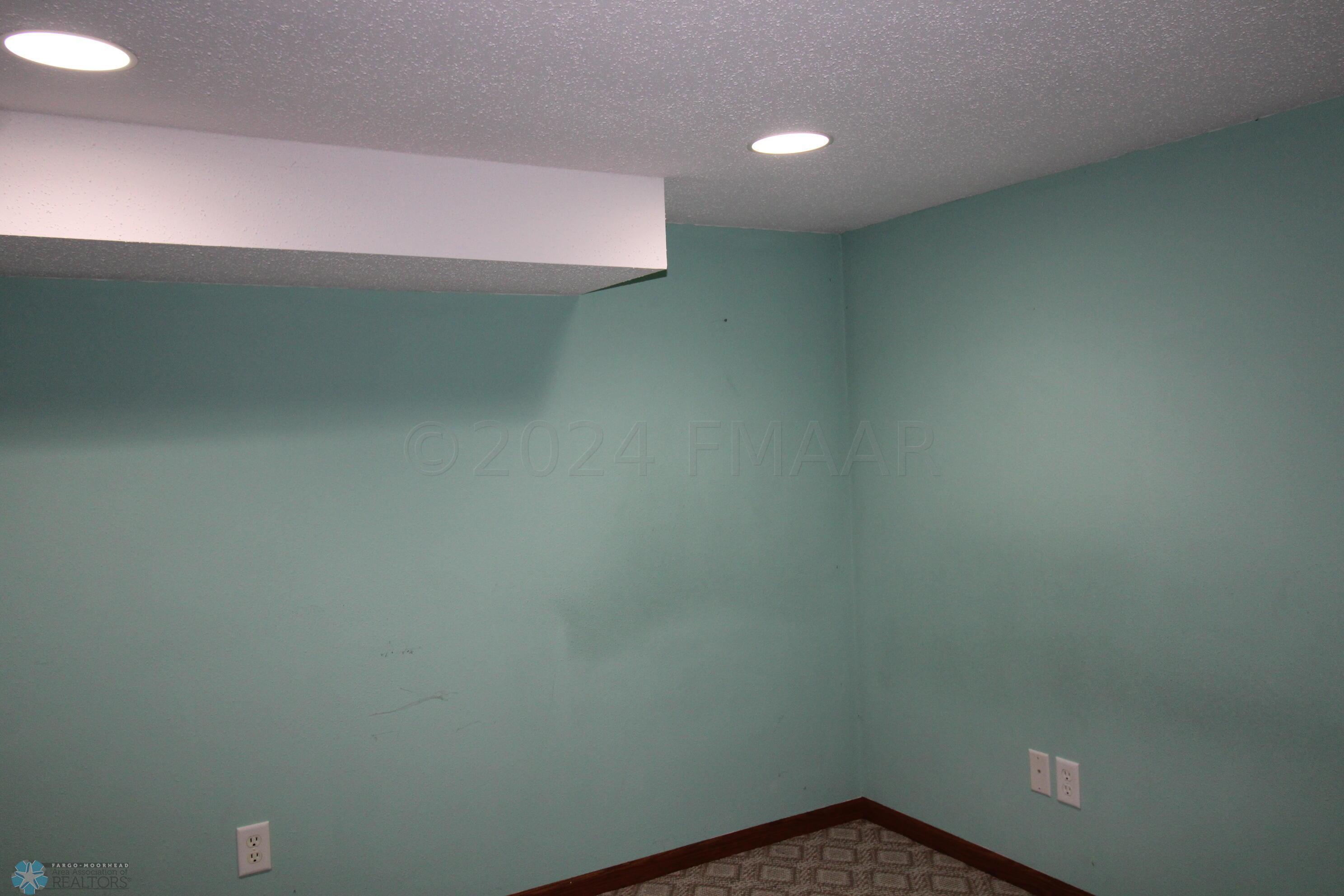 Basement Bedroom